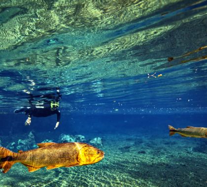 Limnologia será tema de curso em Bonito (MS)