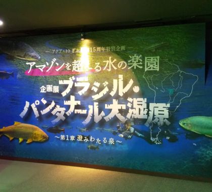 Biodiversidade de Bonito e região são destaques em exposição no Japão