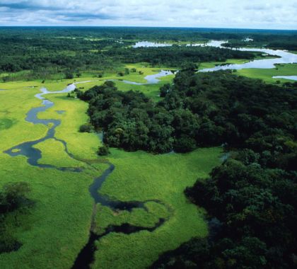 Desmatamento na Amazônia é motivo de preocupação para o planeta