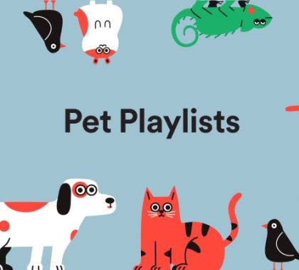 Spotify lança playlists para cachorros que ficam sozinhos em casa