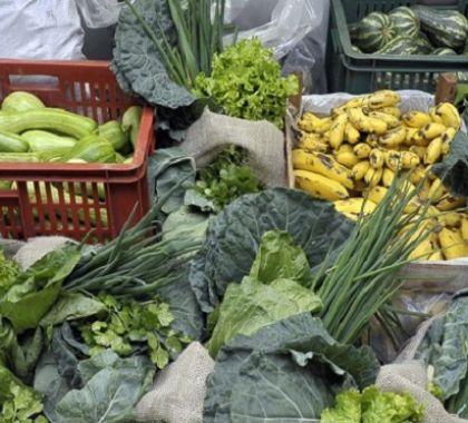 Bodoquena recebe R$ 209 mil do Ministério para incentivo da agricultura familiar