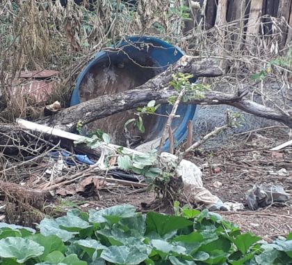 Saúde mobiliza força-tarefa contra a dengue na Vila Donária, em Bonito