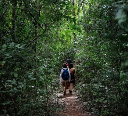 Procon/MS e entidades do turismo firmam Termo de Compromisso