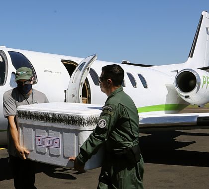 Governo de MS recebe mais de 10 mil testes para diagnóstico de coronavírus