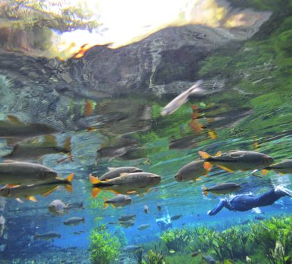 Para 43% dos leitores, turismo em Bonito poderia ser retomado em maio