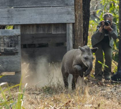 Pesquisadoras brasileiras recebem o maior prêmio de conservação ambiental do mundo