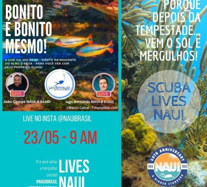 Atrativos de Jardim (MS) são temas de live sobre mergulho