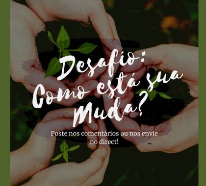 IASB realiza Semana do Meio Ambiente em formato online