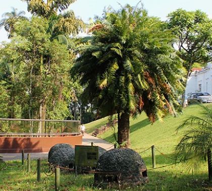 Instituto Butantan, em São Paulo, vai analisar exames de coronavírus coletados em MS