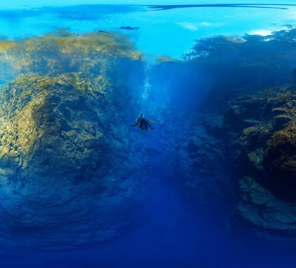 Atrativo de Jardim estampa matéria do El Pais