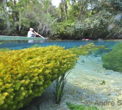 RPPN em Bonito completa 21 anos