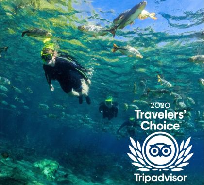 Passeios de ecoturismo em Bonito e Jardim conquistam o prêmio Travelers' Choice 2020 do Tripadvisor