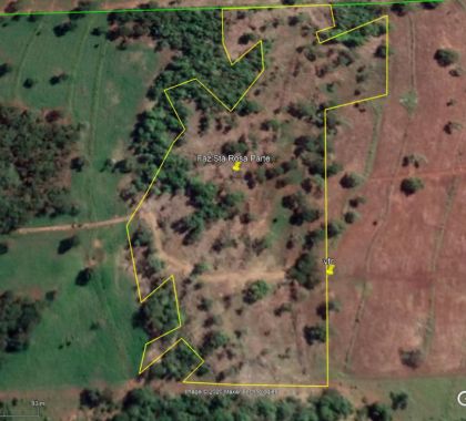 Agrônomo é multado por desmatamento ilegal em Bonito (MS)