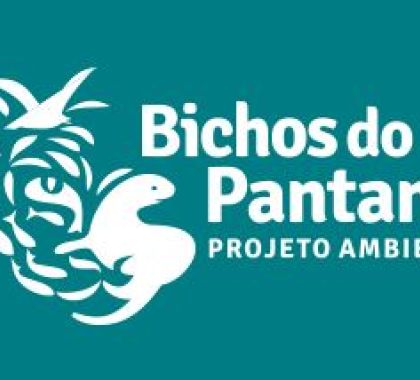 Petrobras doa R$ 150 mil para tratamento de animais impactados por incêndios no Pantanal