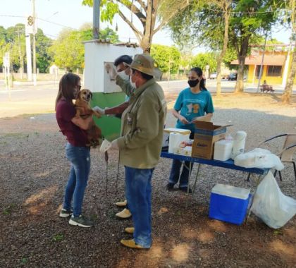 Dia D contra raiva vacina 1,1 mil animais em Bonito