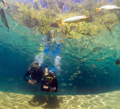 Turismo no Mato Grosso do Sul conquista selo Safe Travels da WTTC