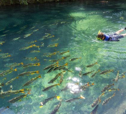 Ecoturismo se consolida como tendência no pós-pandemia