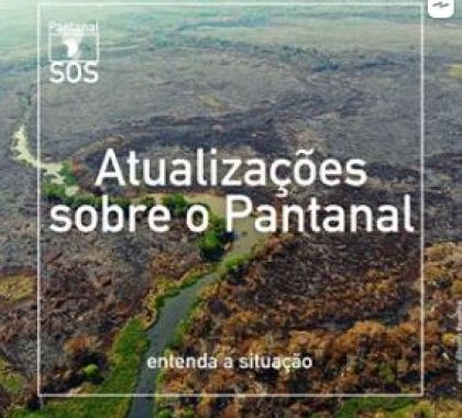 Incêndios no Pantanal; veja os dados atualizados sobre a situação