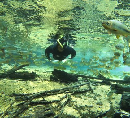 OTEB realiza pesquisa para identificar o perfil dos visitantes durante o feriado de outubro