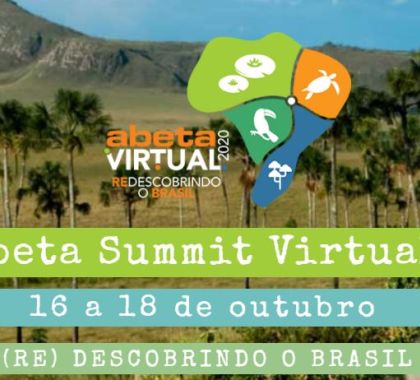 MS participa do ABETA Summit 2020
