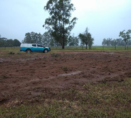 Homem é multado em R$ 5,5 mil por desmatamento ilegal em Anaurilândia