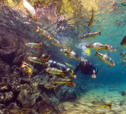 Vivência fotográfica é nova opção de atividade em atrativos turísticos de Bonito e Jardim