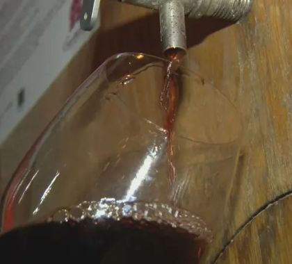 Pesquisa sugere que tanino, presente no vinho, pode inibir infecção por Covid-19