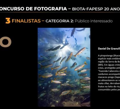 Imagem de piraputangas em águas cristalinas conquista 1º lugar em Concurso de Fotografia do Programa Biota