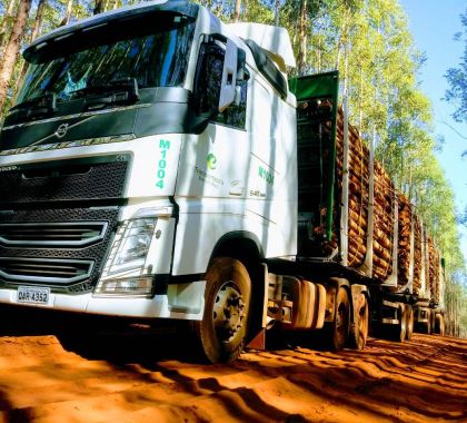 Eldorado Brasil oferece vagas de motoristas em MS