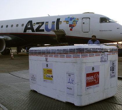 MS vai receber vacina da Pfizer contra a Covid-19