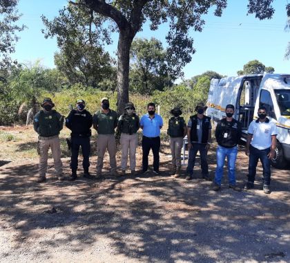 Detran e Agepan, em parceria com DEMTRAT, realizam operação contra o transporte clandestino em Bonito