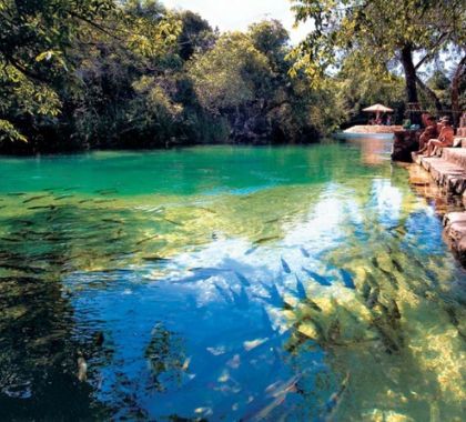 Propriedades rurais de Bonito e Jardim são reconhecidas pela prestação de serviços ambientais