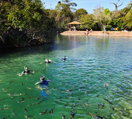 MS leva capacitação sobre turismo de Bonito e Pantanal para a BNT Mercosul