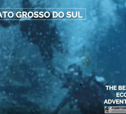 Bonito e Pantanal são apresentados para operadoras de turismo da Irlanda