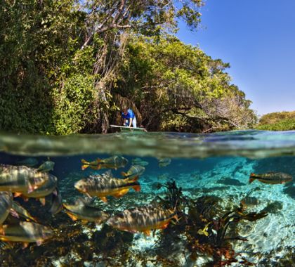 Passeios de ecoturismo podem ser incluídos em lista de atividades essenciais
