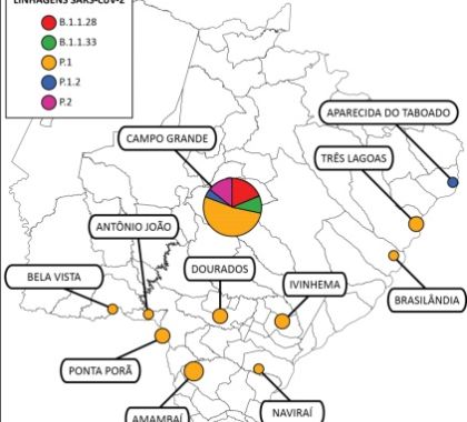 Mapeamento genômico revela pelo menos 14 variantes da Covid-19 em Mato Grosso do Sul