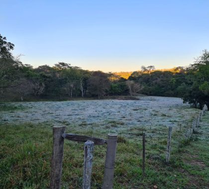 Frio e geada em Mato Grosso do Sul; confira a previsão para esta quarta-feira