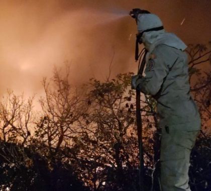 Bombeiros fazem contenção para combater incêndio que já dura dois dias no Pantanal