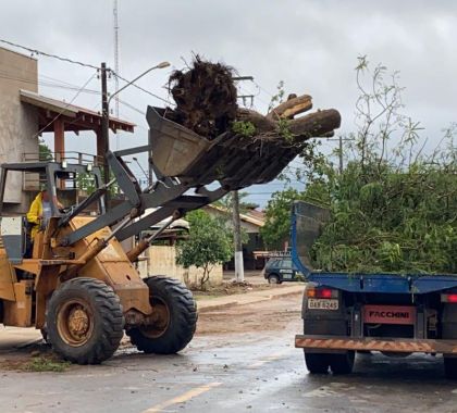 Chuva forte derruba árvores em Bonito durante a madrugada
