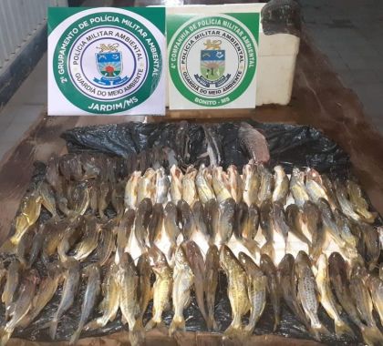PMA de Bonito e Jardim multam catarinenses em R$ 1,8 mil por pesca predatória