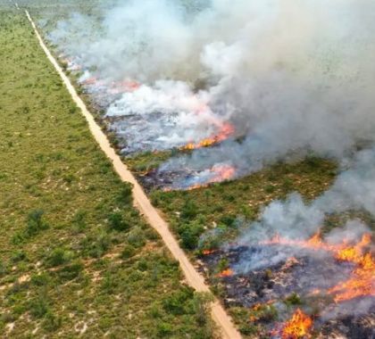 Prorrogada por mais 60 dias a proibição de queima controlada na planície pantaneira