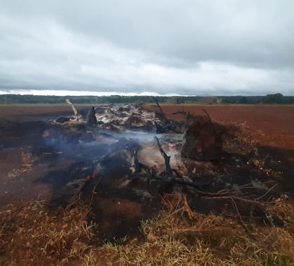 Fazendeiro é multado em R$ 2 mil por incêndio para limpeza de pastagem em Nioaque