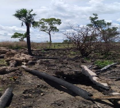 Fazendeiro é multado em mais de R$ 300 mil por danificar e incendiar vegetação de Mata Atlântica em MS