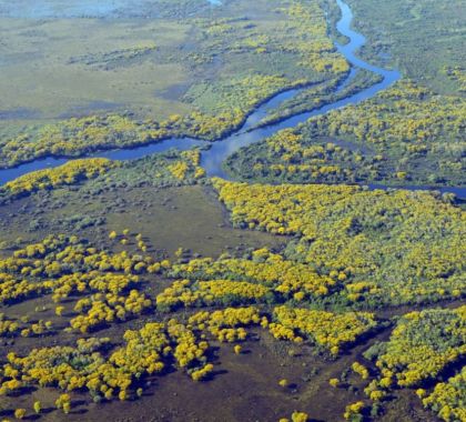 Economia Sustentável e Pantanal serão destaques em seminário de carbono