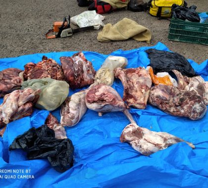 PMA de Miranda apreende motoserra e carne  sem inspeção sanitária