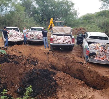 Quatro toneladas de carne estragada são apreendidas e descartadas no interior