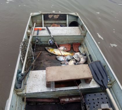 Pescador é multado em R$ 5 mil por pesca durante a piracema no rio Miranda