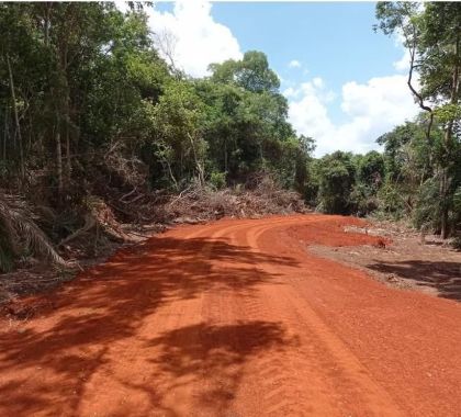 Idoso é multado em R$ 20 mil por desmatamento para abrir estrada ilegal que liga chácaras à Bonito