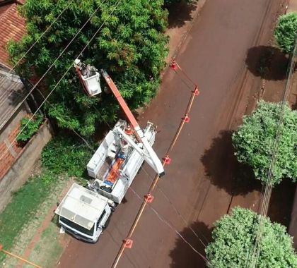 Energisa busca parceria com prefeituras da região sul de MS para podas de árvores