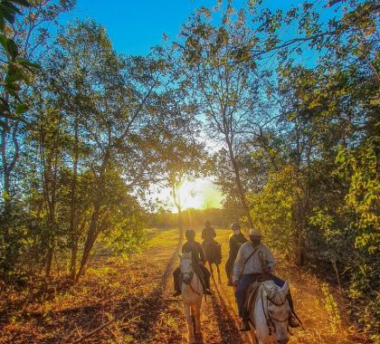 Conheça 5 benefícios que o passeio a cavalo proporciona